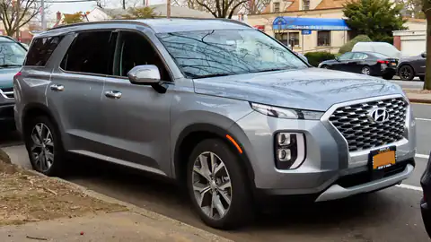 2020 Hyundai Palisade SEL (LX2)